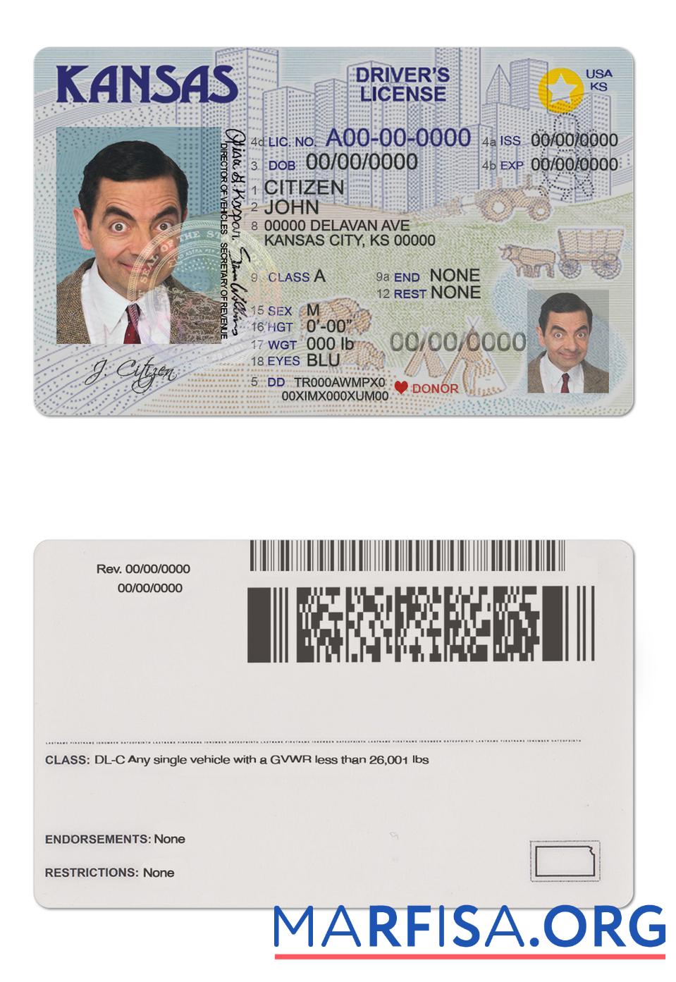 Realistic USA Kansas driving license sample